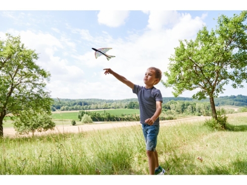 Plano Terra Kids Catapult